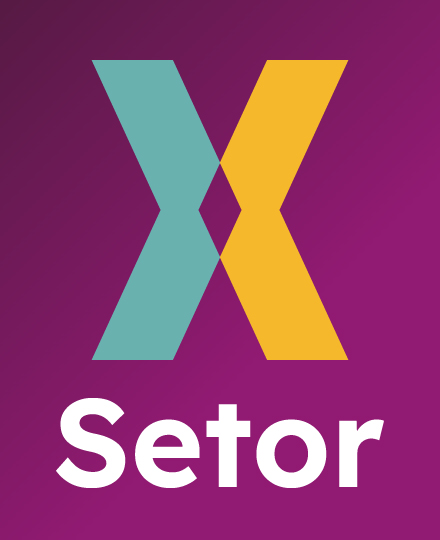 Setor X